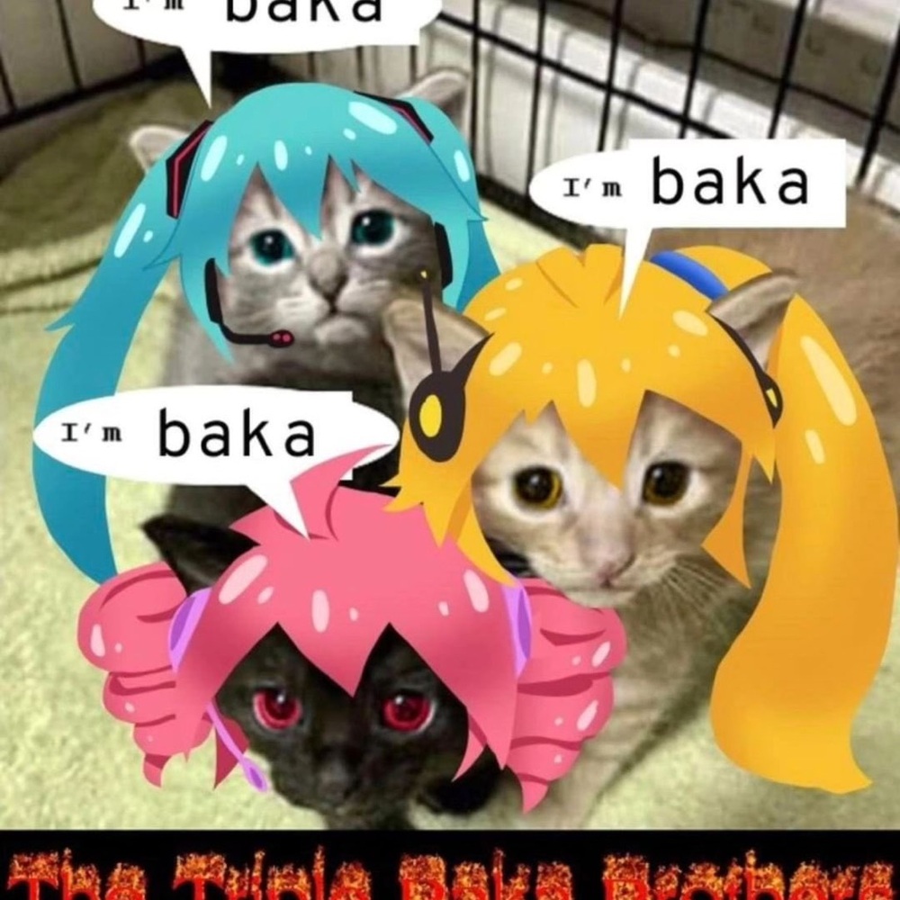 Meet your Posher, Isabella - Picture 6 of 7